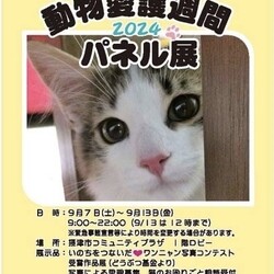 動物愛護週間パネル展