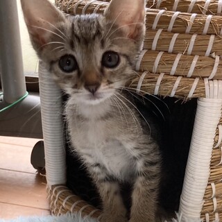 ぱっちりおめめの美人姉妹！約1ヶ月