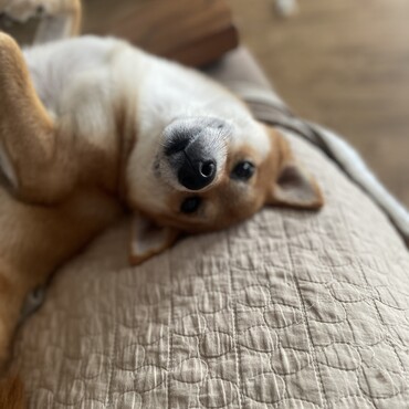 まったりしてたら眠たくなってきた