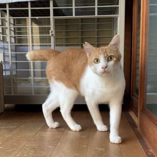 人懐っこさバツグン