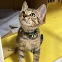 元気なわんぱくボーイ。ミチくん♡