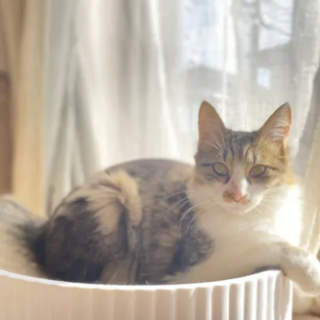 【9/8新橋】ハンサムなやんちゃボーイ★ルイくん