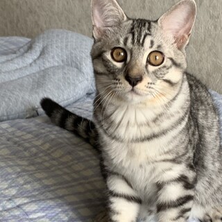 愛らしい三兄妹たち・大瑚（だいご）くん