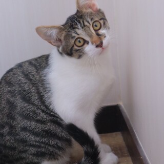 おもちゃ大好き！やんちゃボーイ！