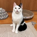 人馴れバツグン☆てんちゃん★おしゃべり上手