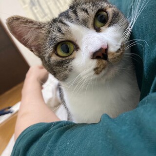 撫で撫でもお膝も抱っこ大好きスリゴロちゃん