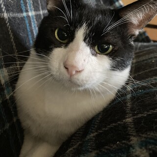 オスだよね⁈永遠に出ない乳あげてます…