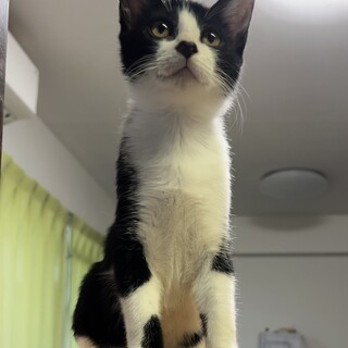 甘ったれマリオくん☆