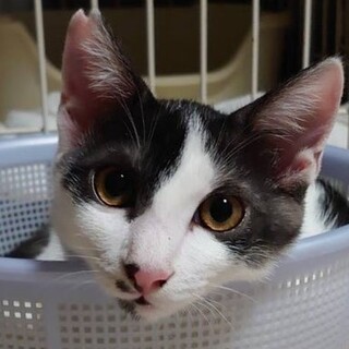 ガツガツ食欲旺盛　えにしくん♪