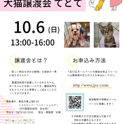 犬猫譲渡会「てとて」