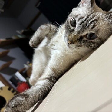 むぎちゃん