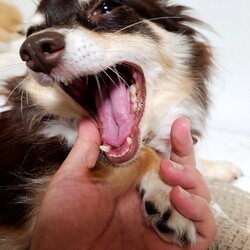 「バナバナ」サムネイル2