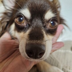 「バナバナ」サムネイル3