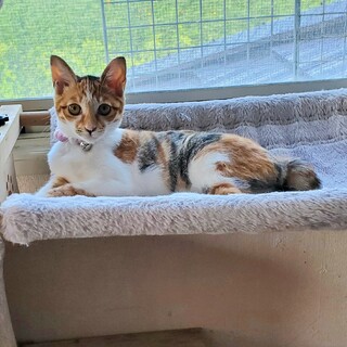 小柄で可愛い凛ちゃん