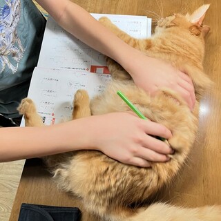 【11/17芝浦】思わずフフッ一緒にいるとほっこり