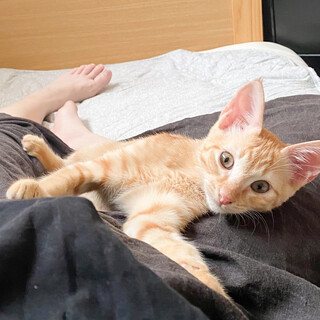 募集停止マイペースなおっとりタイプ⭐️ふゆと