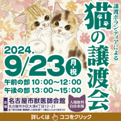 猫の譲渡会☆大須商店街近く