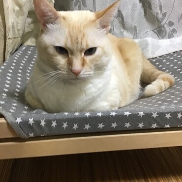 ミュウ王子、ミグちゃん、久しぶり。そっちはどう？こっちは暑いよ