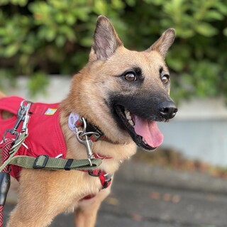 ぬっき　女の子