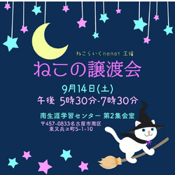 ねこの譲渡会☆彡