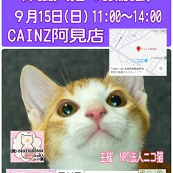 保護犬猫の譲渡会