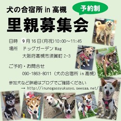 「犬の合宿所in高槻」の里親募集会