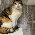 【被災地より】ミシェル