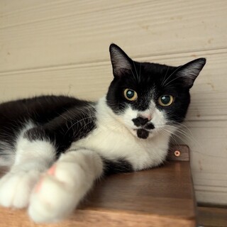 【被災地より】中将姫