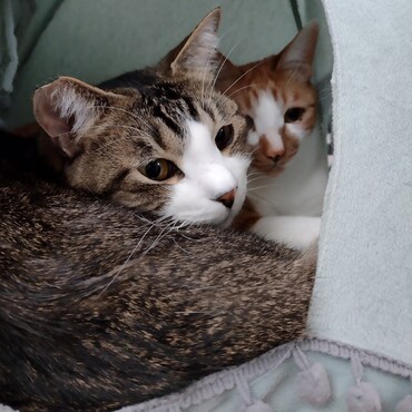 寒い日「は」仲良いよね。