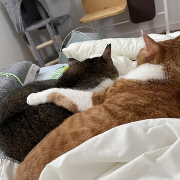 なんか青春っぽい