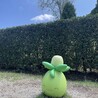 たるたるちきん