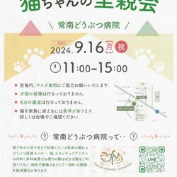 猫ちゃんの譲渡会 サムネイル1