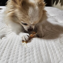 「(￣▽￣)ﾆﾔﾘｯ」サムネイル2