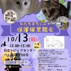 ひたちまちにゃか保護猫里親会 サムネイル1