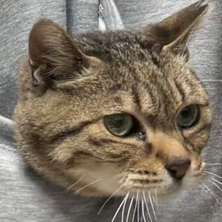 怖がりの甘えたサン！人慣れ修行中のソウ君。