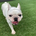 トライアルへ⭐︎おっとりだけど元気な木綿ちゃん