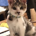 募集終了。