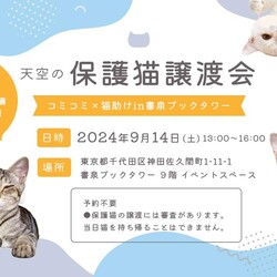 保護猫譲渡会@秋葉原　書泉ブックタワー9階