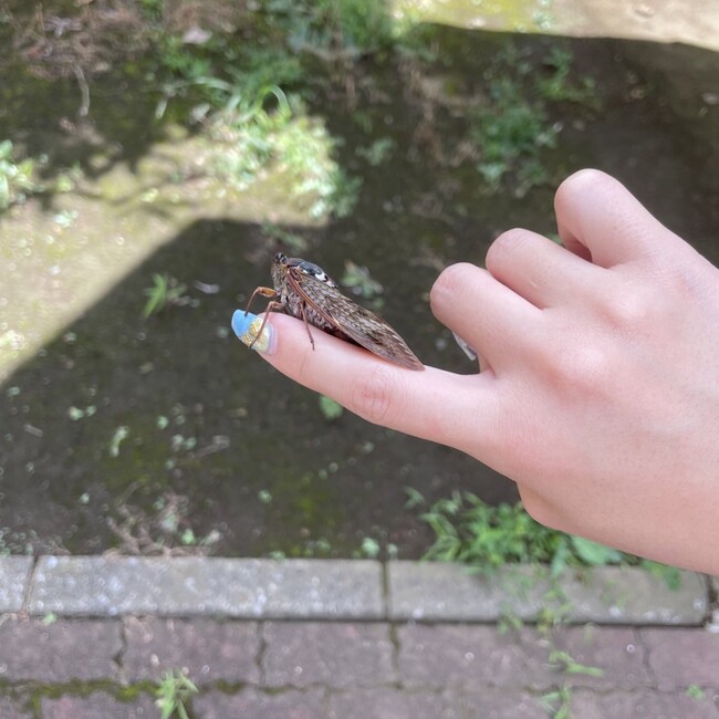 non_07のカバー写真