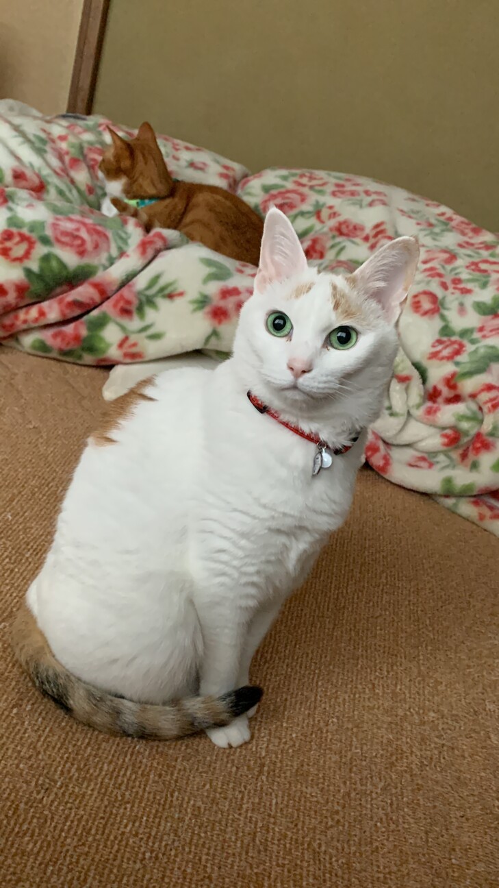 観鈴（みすず）