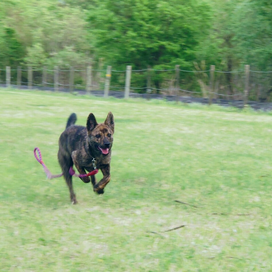 ゆきかぜのカバー写真