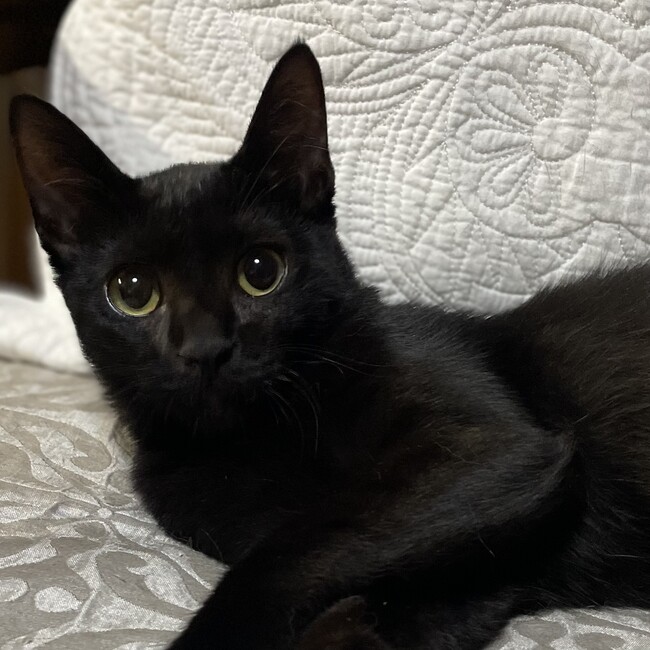 うめまる5のカバー写真