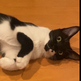 マスク顔のイケメンボーイ♡ひーくん