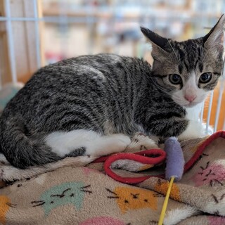 【9/15東日本橋】甘えん坊❤️ひめこちゃん