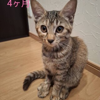 鳴き声の可愛い女の子⭐︎