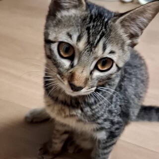 ゴロゴロ甘えん坊な女の子⭐︎