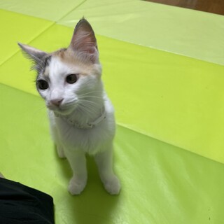 生後3ヶ月半のおてんばな女の子????