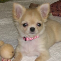 「空の向こうに」サムネイル2