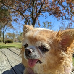 「空の向こうに」サムネイル3