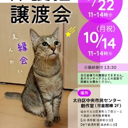 保護猫譲渡会『縁会』〜えんかい〜